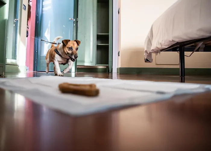 מלון Montelago 4*