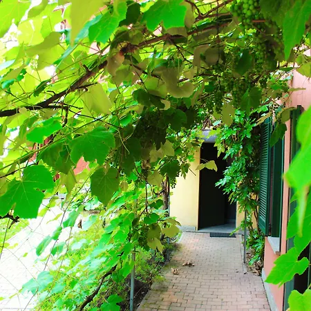 Montelago 4*