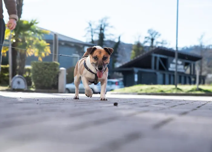 Montelago Ternate (Varese)